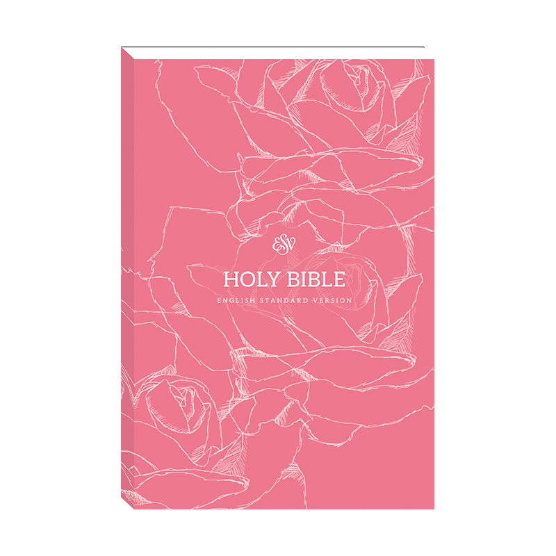 esv-pink-rose